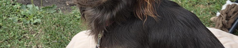 Banner profilu