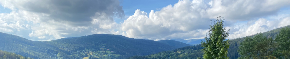 Banner profilu