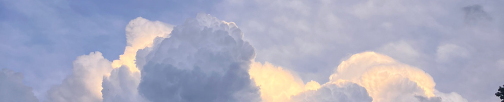 Banner profilu