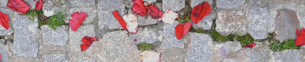 Banner profilu