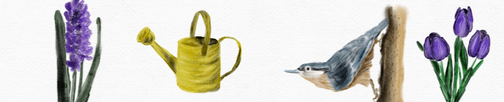 Banner profilu