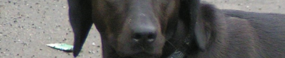Banner profilu