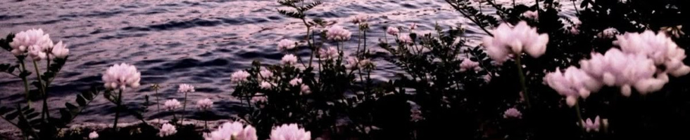 Banner profilu