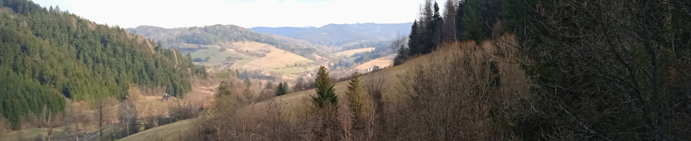 Banner profilu