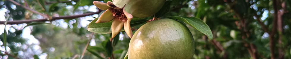 Banner profilu