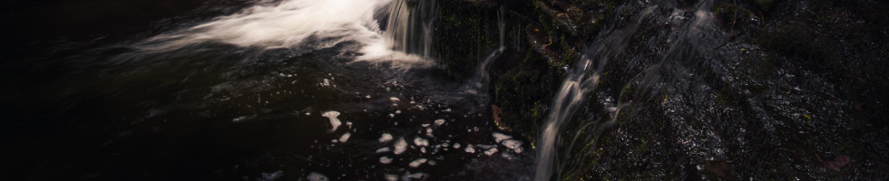 Banner profilu